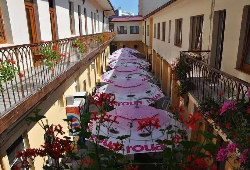 فندق Transilvania