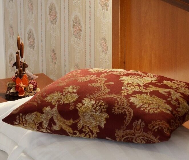 Отель Transilvania