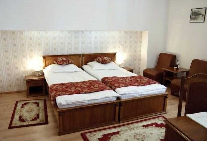 Отель Transilvania