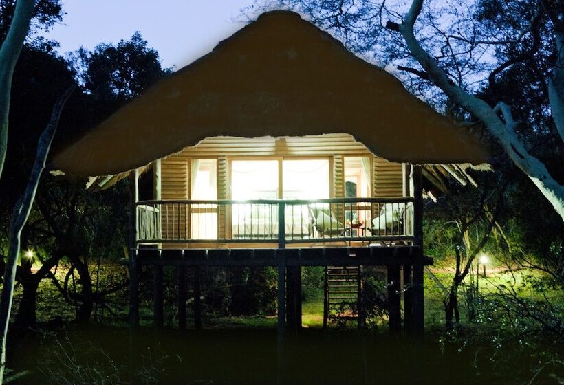 בית מלון כפרי Ubizane Wildlife Reserve