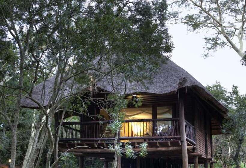 בית מלון כפרי Ubizane Wildlife Reserve