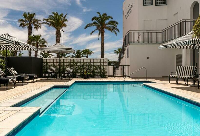 The Winchester Hotel By Newmark