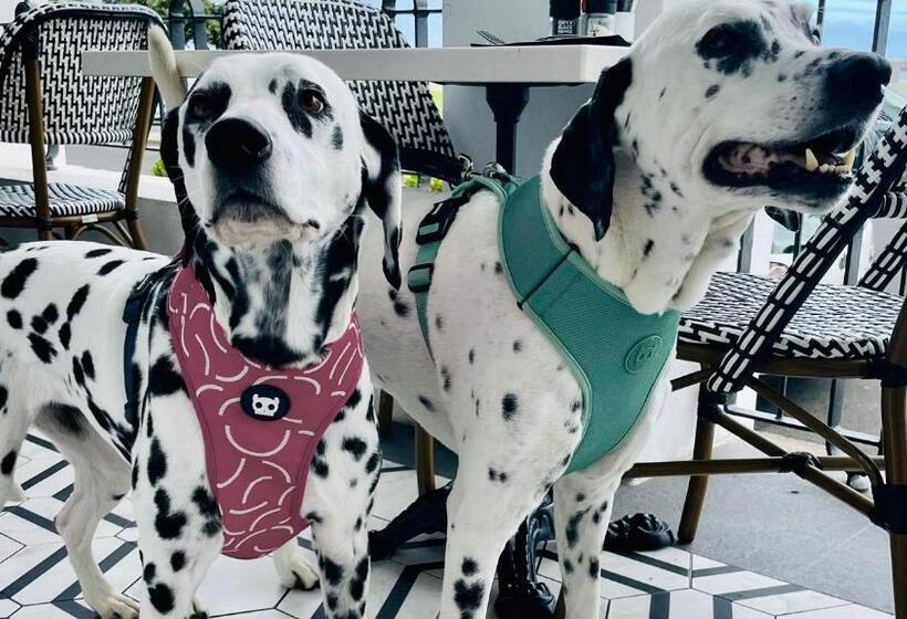 The Winchester Hotel By Newmark