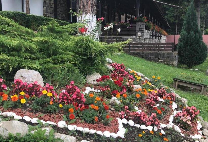 汽车旅馆  Hanul Izvorul Rece Sinaia