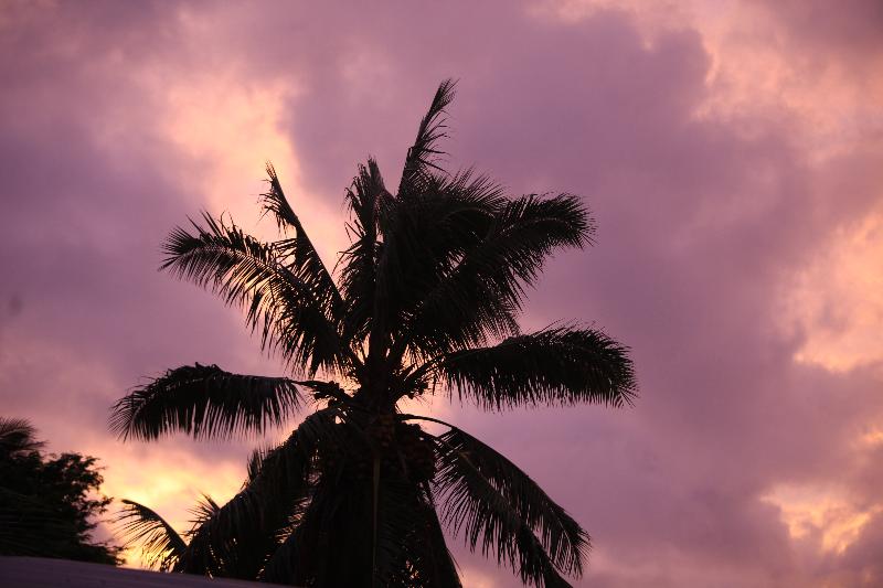 The Edgewater Resort & Spa