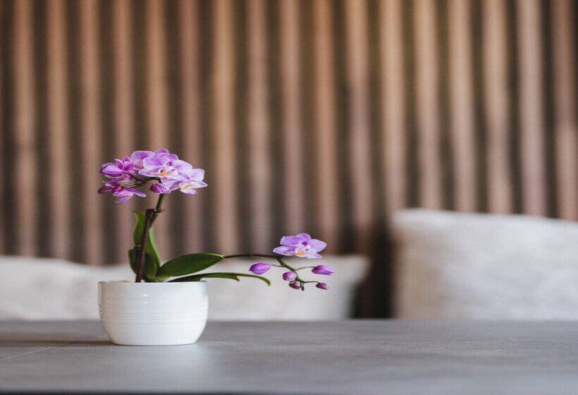 Vici Hotels