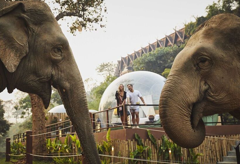 Hotel Anantara Golden Triangle Elephant Camp & Resort