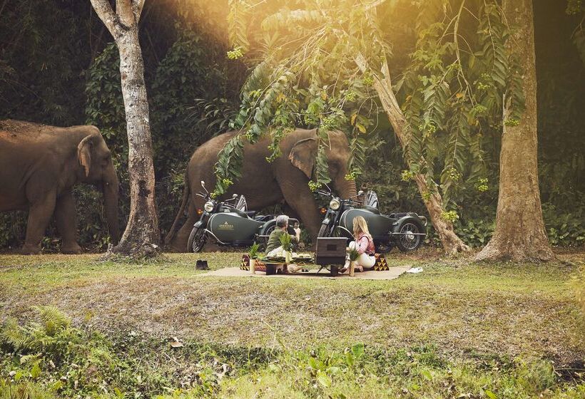 Hotel Anantara Golden Triangle Elephant Camp & Resort