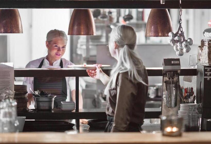 فندق Arctic City