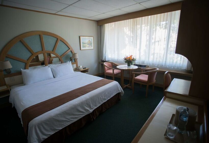 Best Western Plus Hotel Terraza