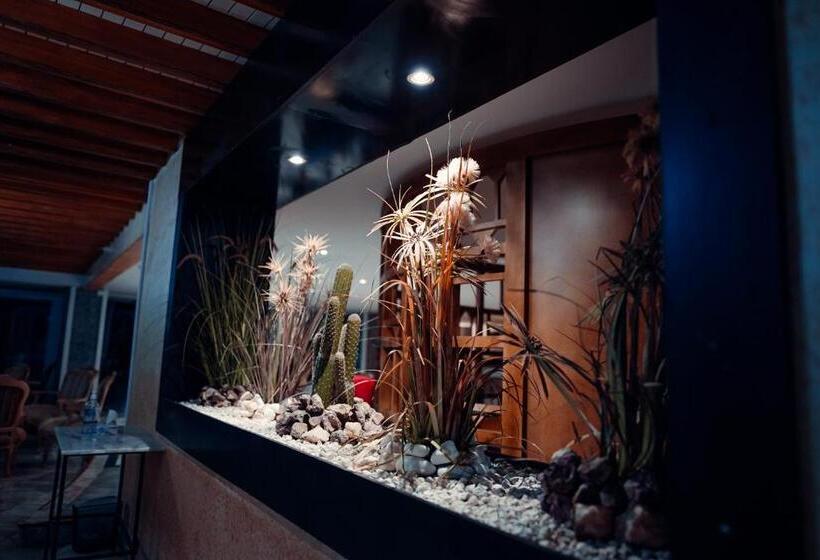 Отель Hôtel Oasis Gabes