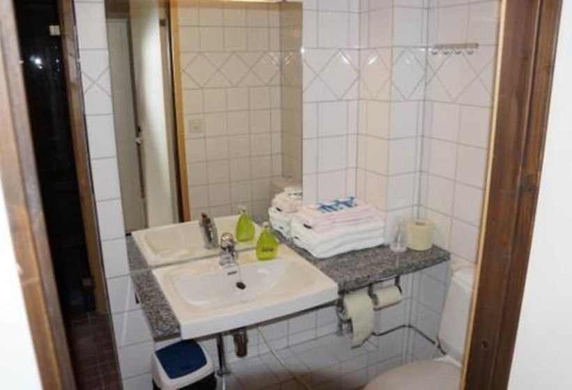 בית מלון כפרי Li Pellonhovi