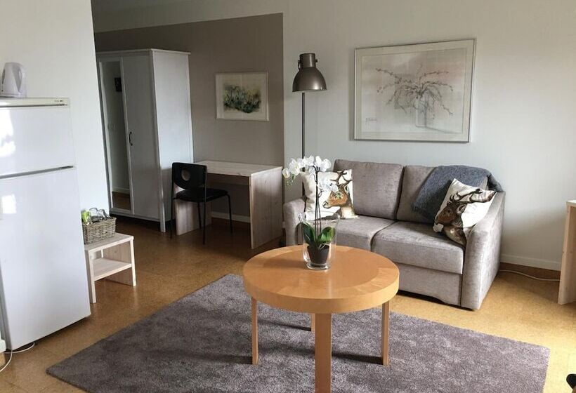 בית מלון כפרי Li Pellonhovi