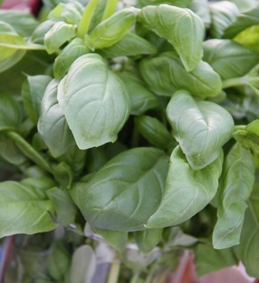 Отель Loimaan Seurahuone