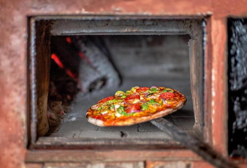 Отель New Safari