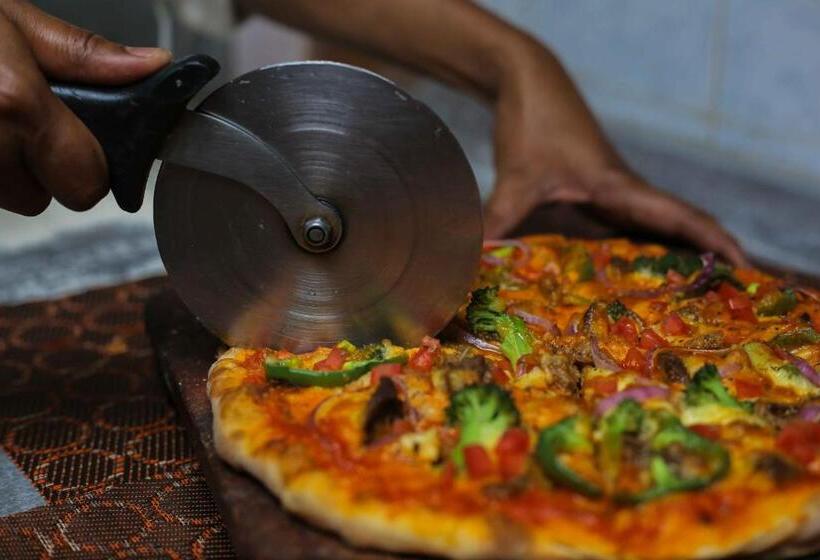 Отель New Safari