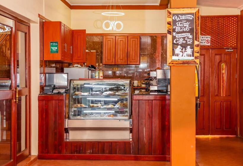 Отель New Safari