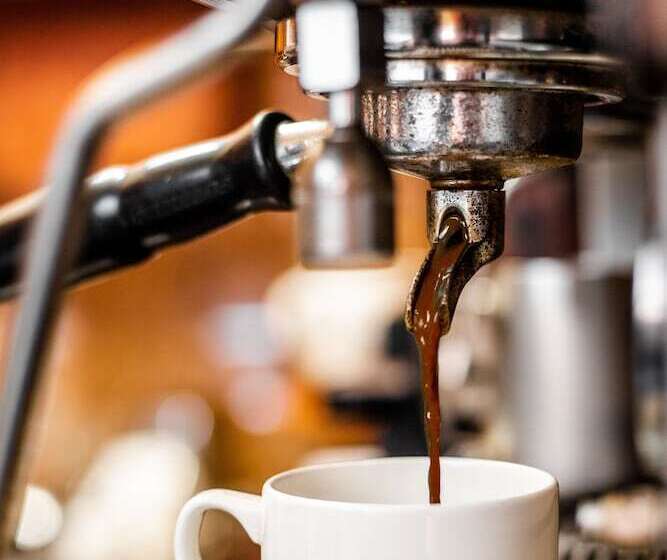 Отель New Safari