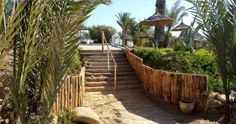 酒店 Tui Blue Palm Beach Hammamet