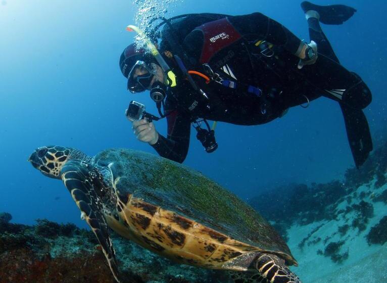 בית מלון כפרי Premier Resort Cutty Sark