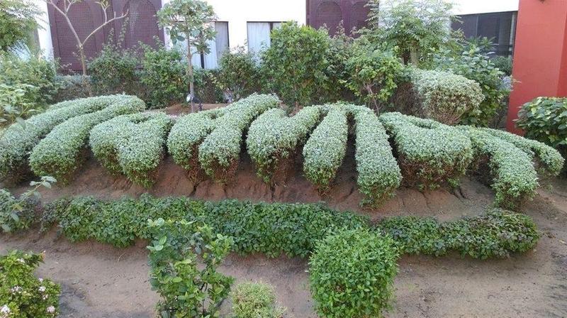 Radisson Blu Hotel, Yanbu