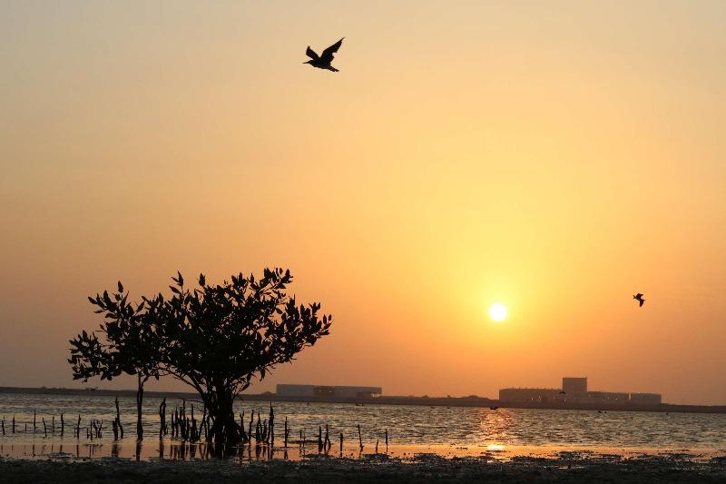 Radisson Blu Hotel, Yanbu