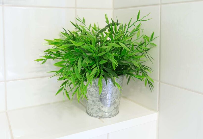 ホテル Scandic Kemi