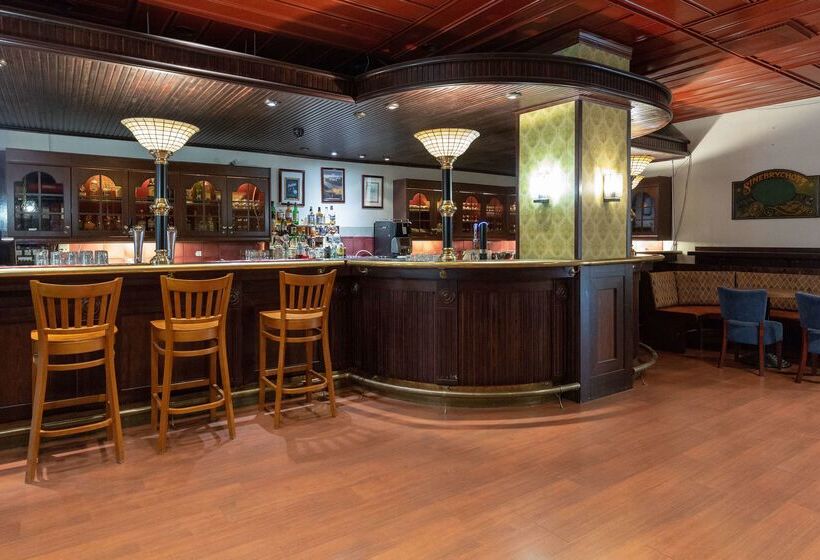 בית מלון כפרי Scandic Rauma