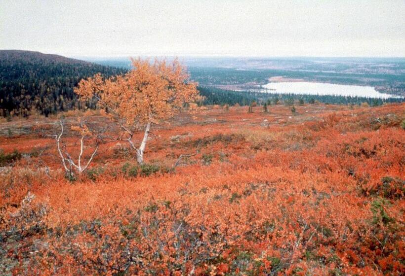 בית מלון כפרי Tulikettu