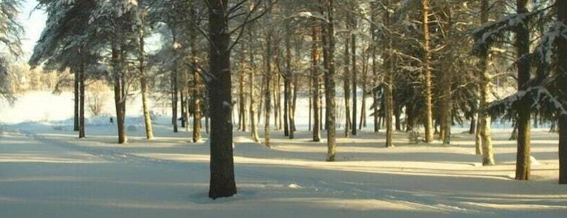 Lapland Northern Lights Hotel Ilveslinna