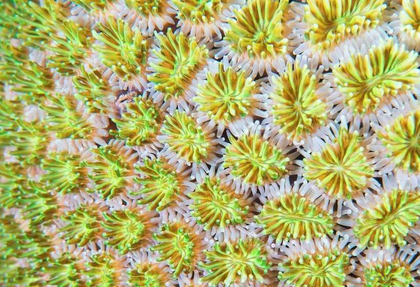 Le Meridien Phuket Beach Resort