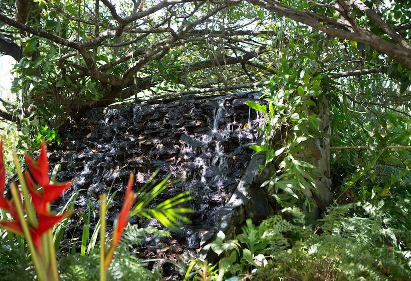 استراحتگاه Eco Torarica