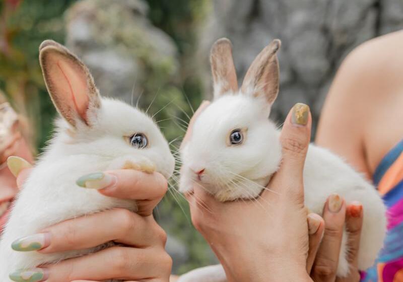 Thavorn Palm Beach Resort Phuket