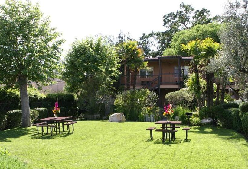 호텔 Adelaide Inn