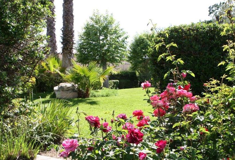 فندق Adelaide Inn