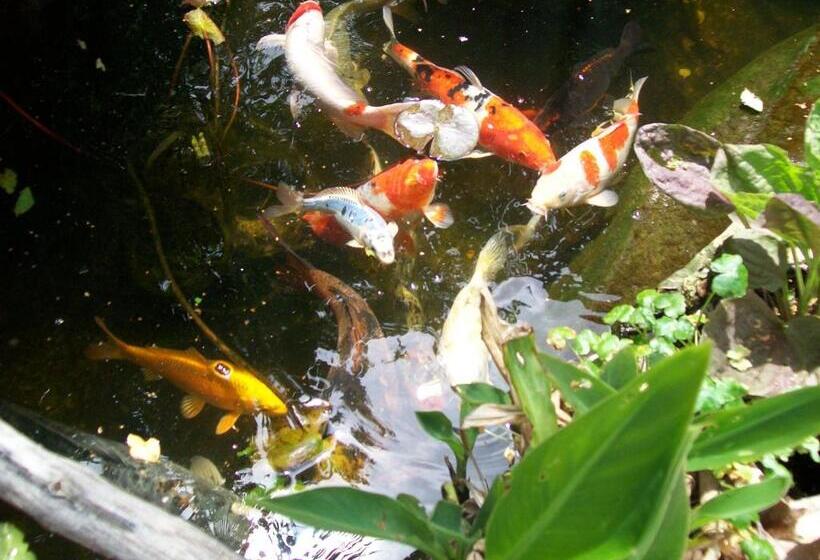 فندق Adelaide Inn