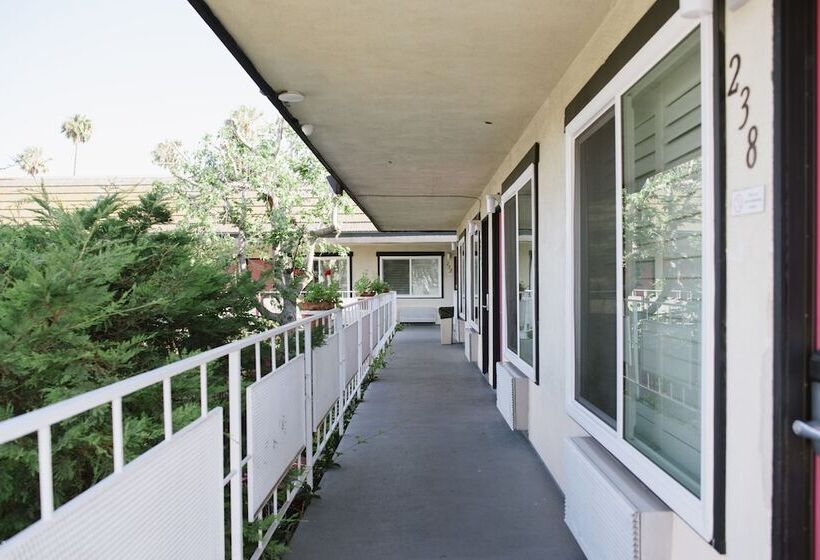 בית מלון כפרי Alamo Inn And Suites  Convention Center