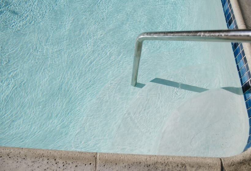 בית מלון כפרי Alamo Inn And Suites  Convention Center