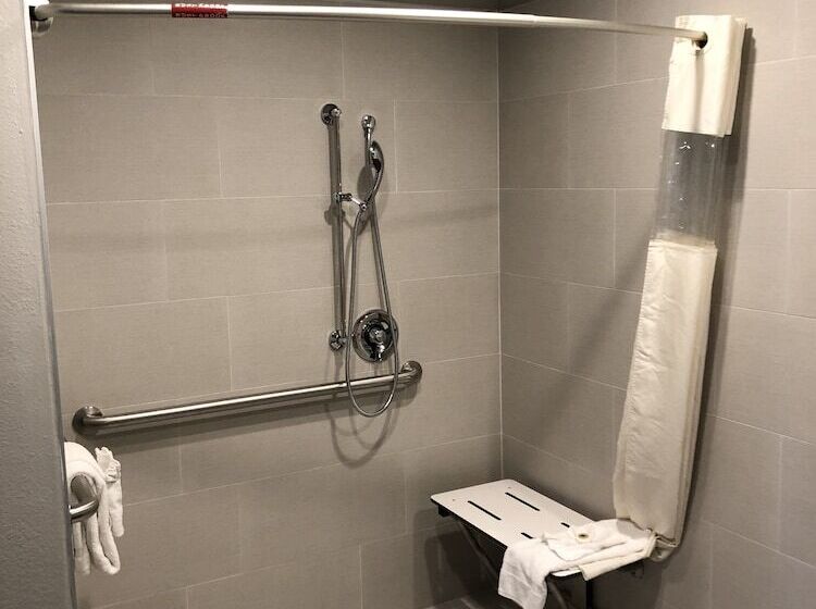 בית מלון כפרי Alamo Inn And Suites  Convention Center