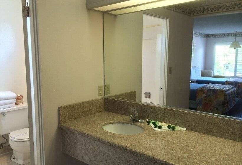 בית מלון כפרי Alamo Inn And Suites  Convention Center