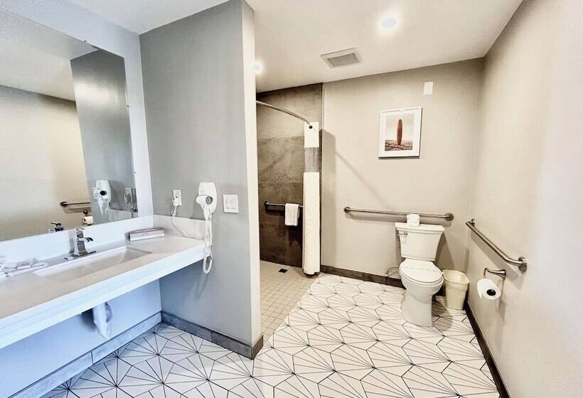 בית מלון כפרי Alamo Inn And Suites  Convention Center