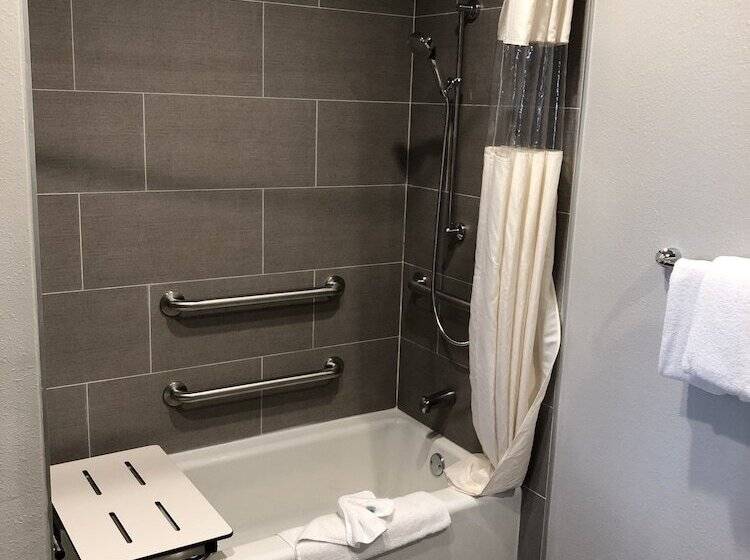 בית מלון כפרי Alamo Inn And Suites  Convention Center