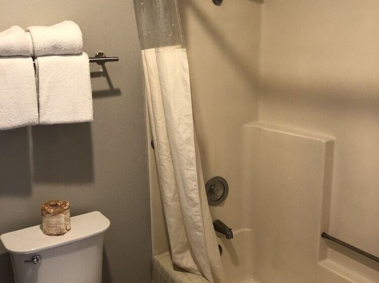 בית מלון כפרי Alamo Inn And Suites  Convention Center