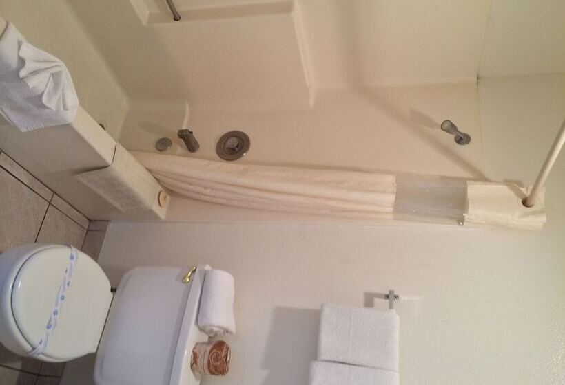 בית מלון כפרי Alamo Inn And Suites  Convention Center