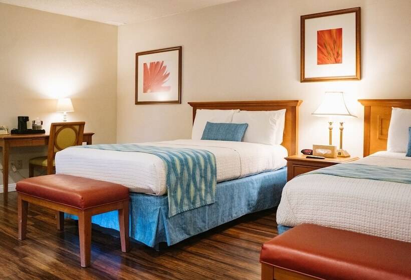 בית מלון כפרי Alamo Inn And Suites  Convention Center