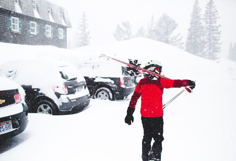 호텔 Alta Peruvian Lodge