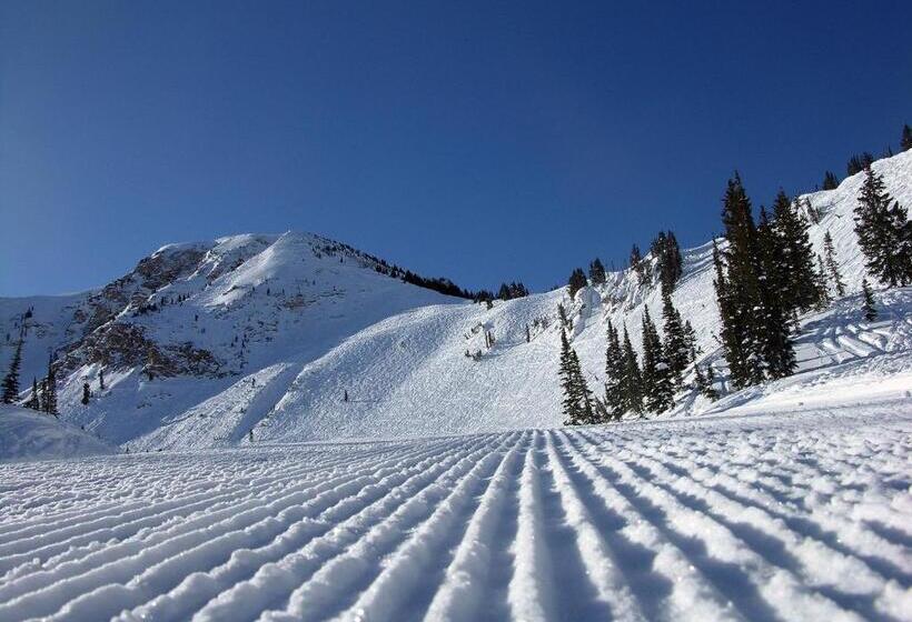 호텔 Alta Peruvian Lodge