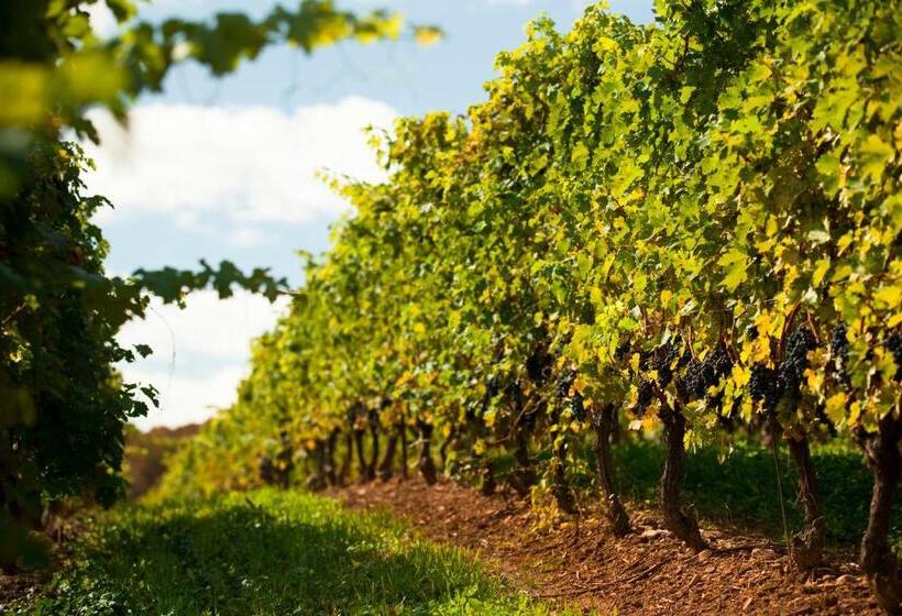 فندق Apple Farm Inn