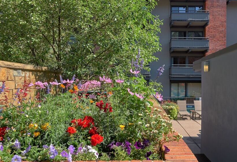ホテル Aspen Square Condominium