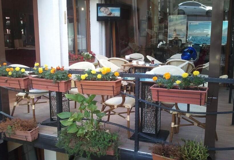 هتل Bakirkoy Tashan Business & Airport